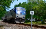 83 - Amtrak Silver Meteor